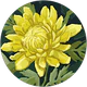 Zuhal AYDIN profil fotoğrafı