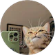 Miray Ölmez profil fotoğrafı