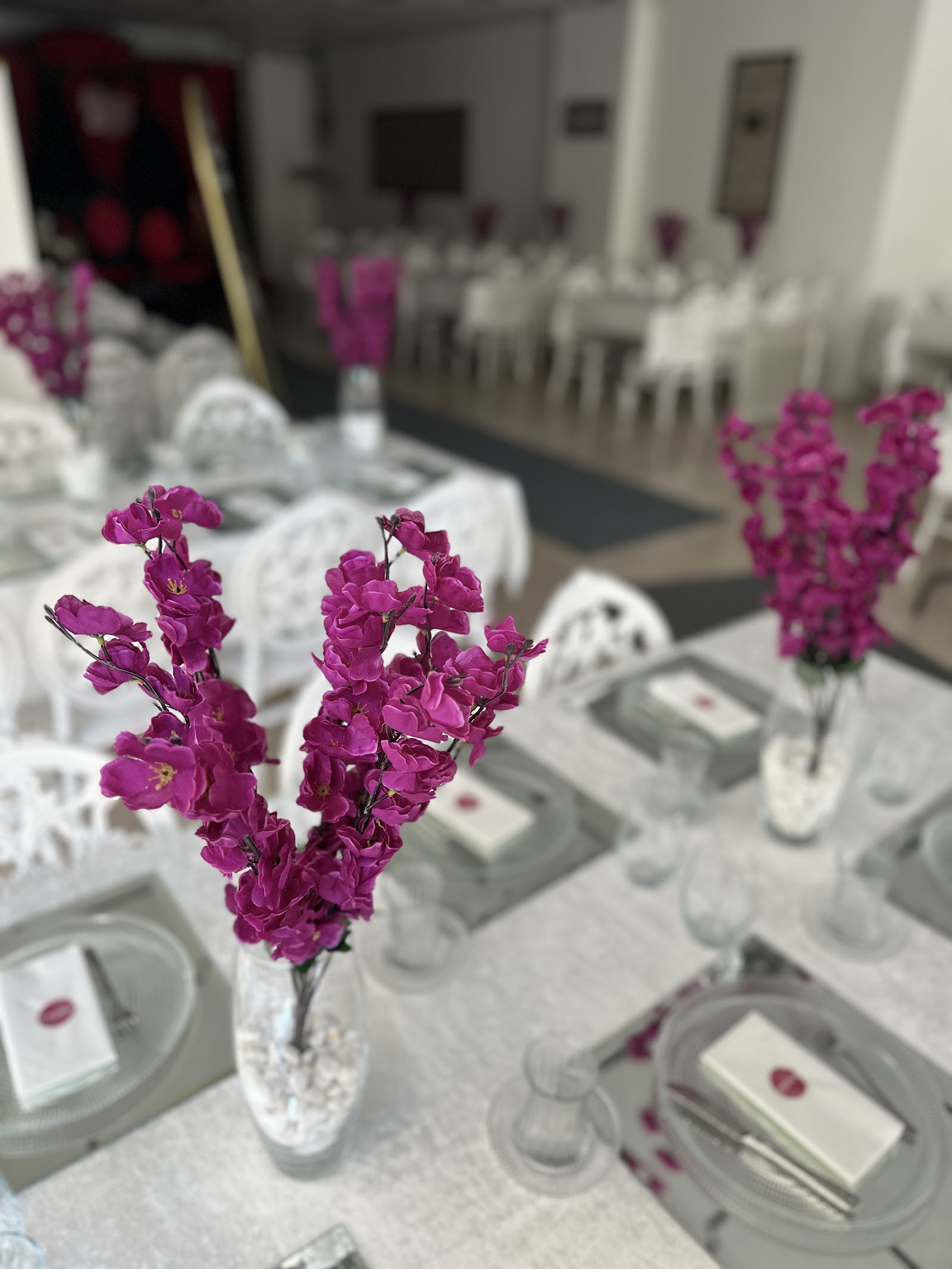 ECE DAVET EVİ