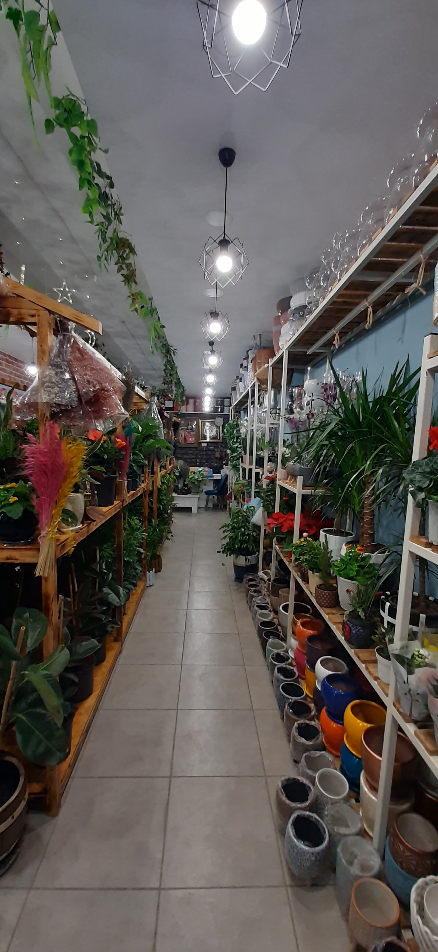 Frezya Çiçek Evi Van Edremit