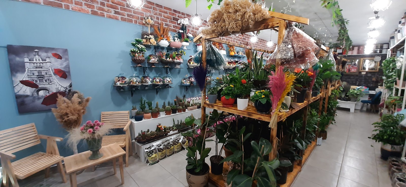 Frezya Çiçek Evi Van Edremit