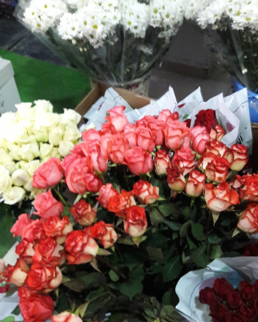 Katrem Flower Center Çiçekçilik