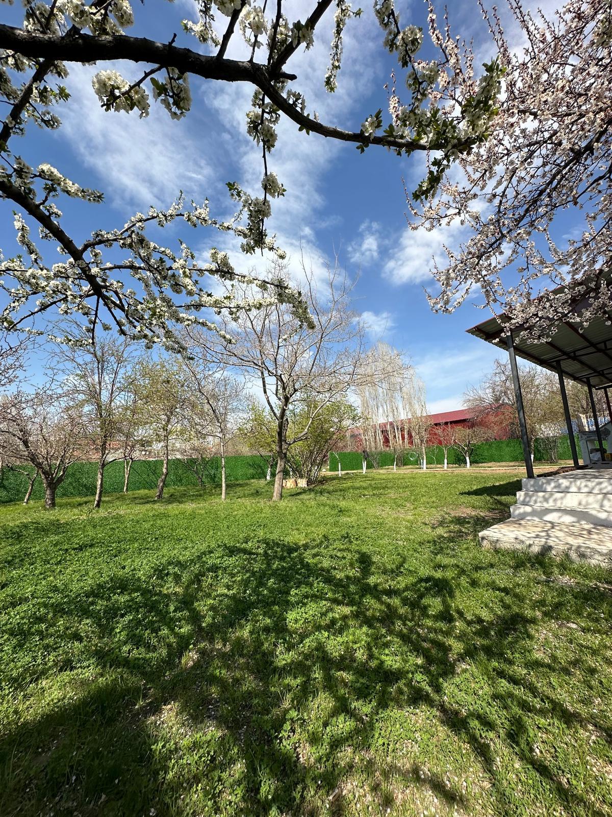 Urartu kır davet evi & fotoğraf çekim bahçesi