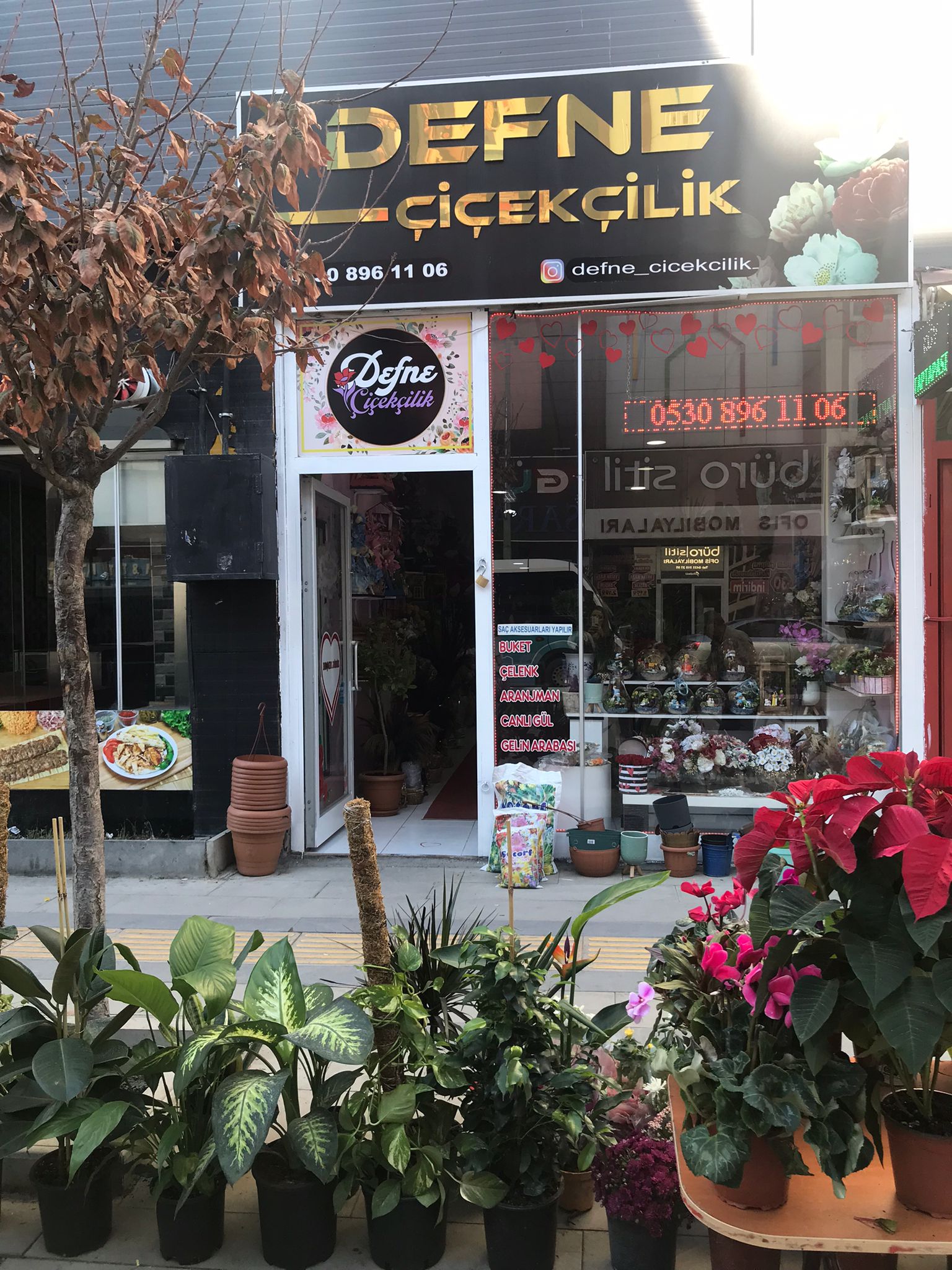 Van Defne Çiçekçilik