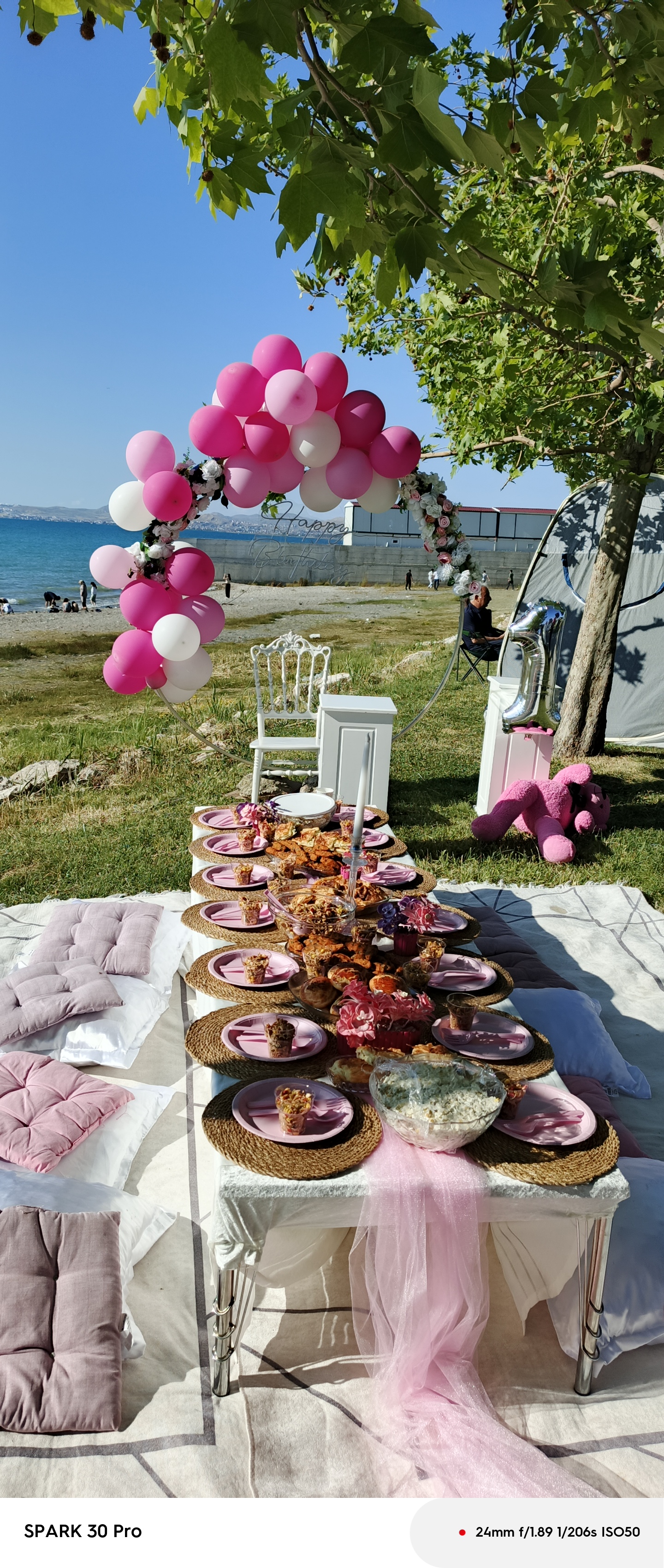 Van Şay Organizasyon