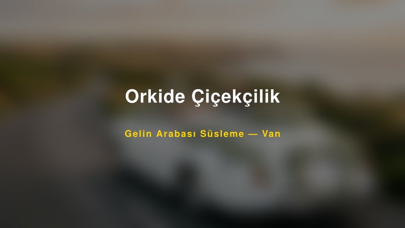 Orkide Çiçekçilik Van Gelin Arabası Süsleme